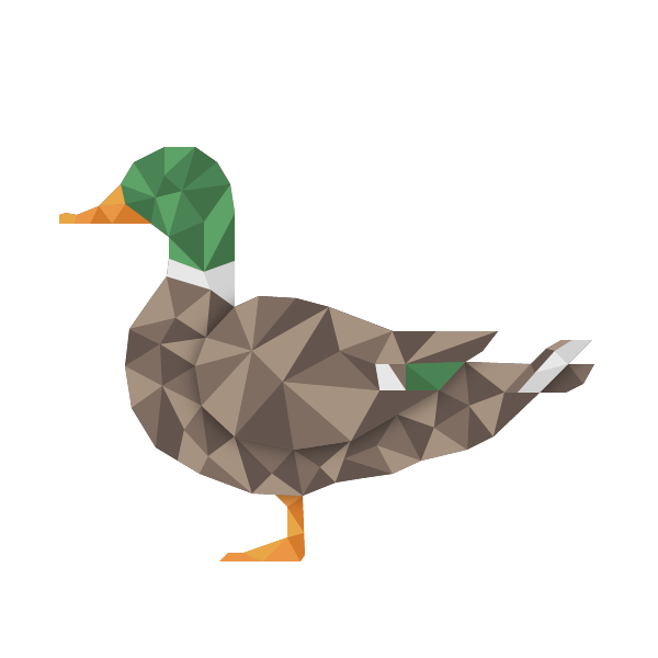 Duck