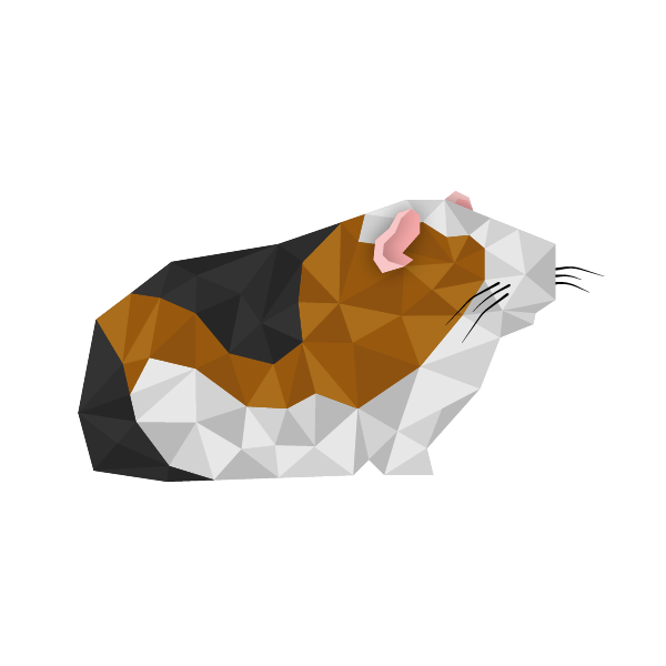 Guinea_Pig