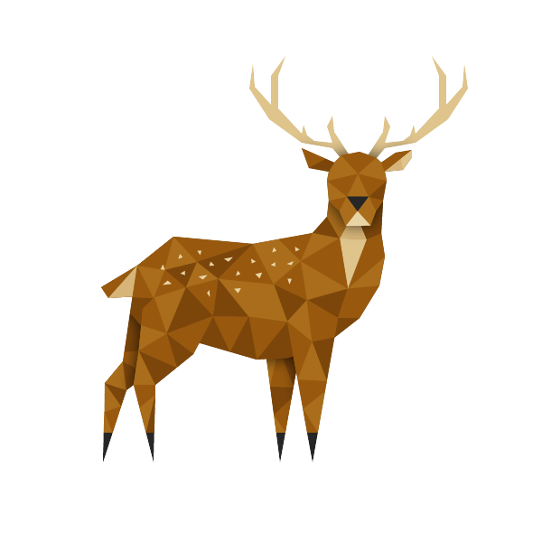 Sika The Ark Open Farm's sika deer stag