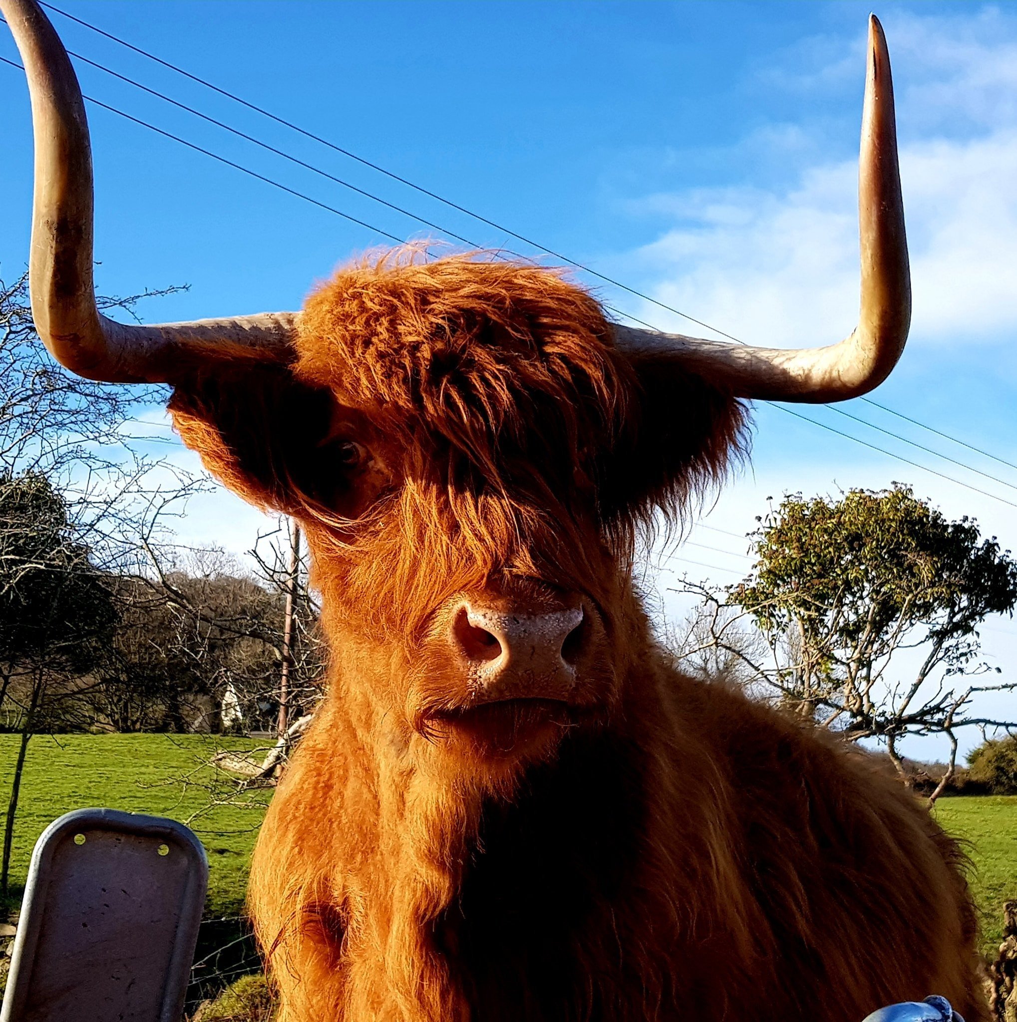 The Ark Open Farm