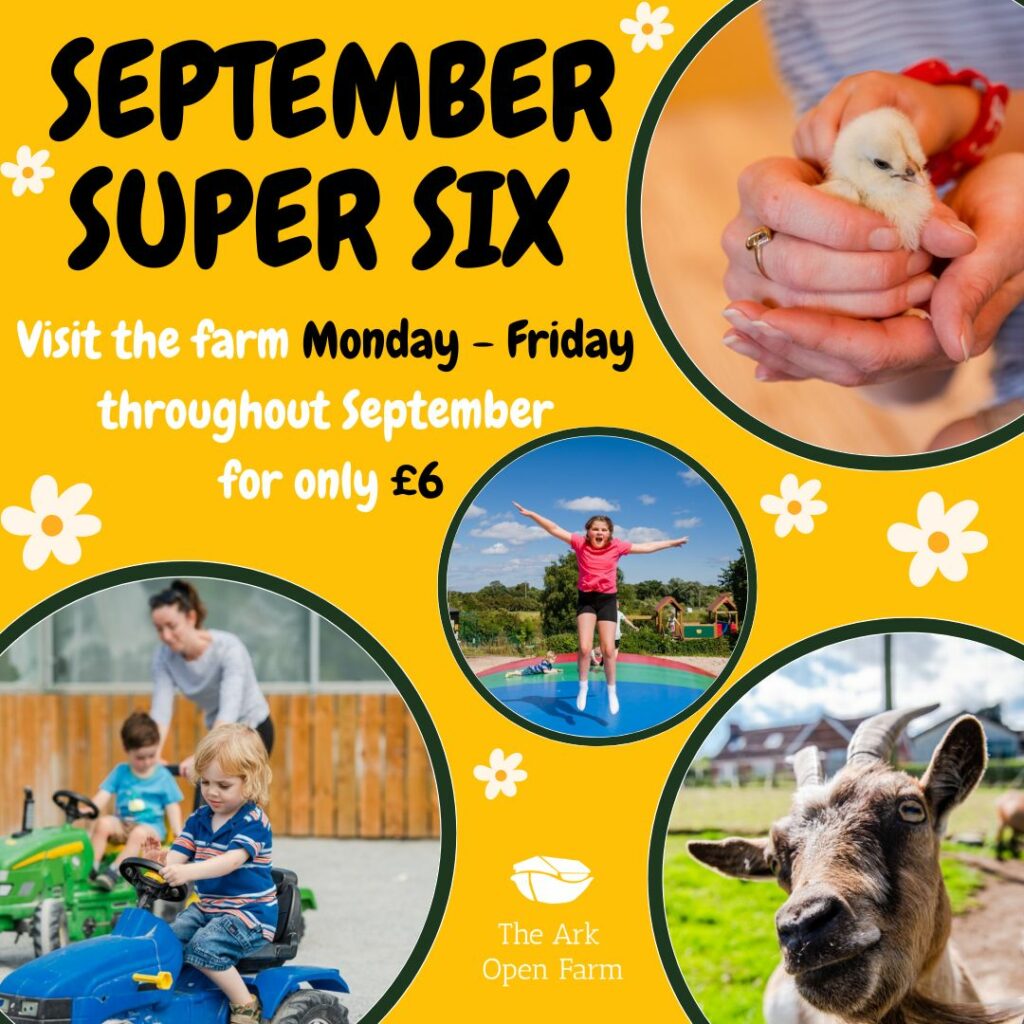 September Super Six Offer